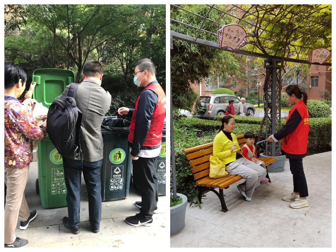 1606891383976462.jpeg D.jpg