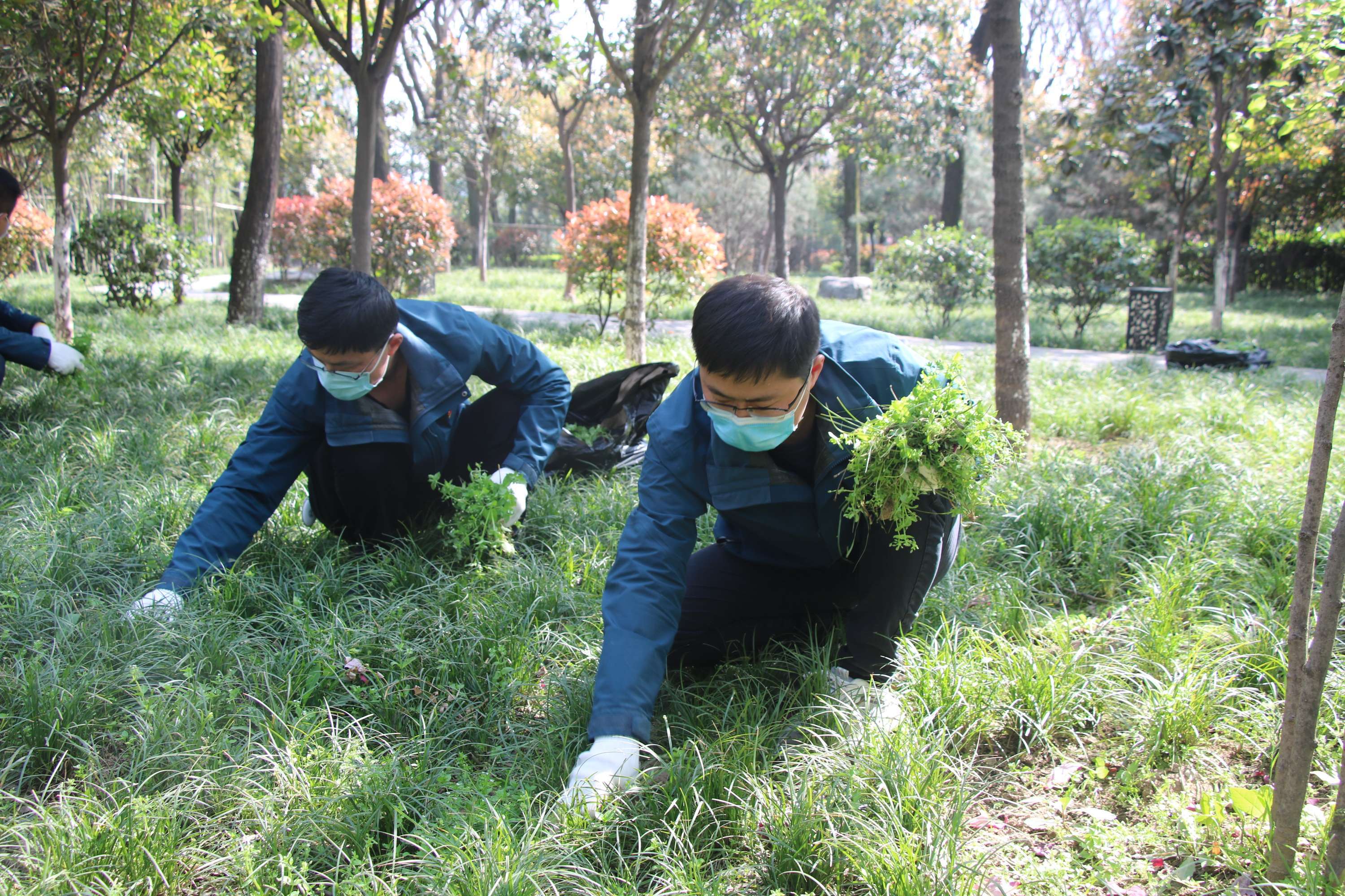 1648884131444723.jpeg 3.jpg