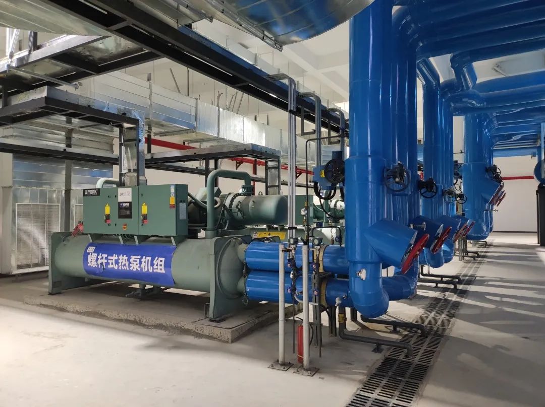 1650769268100243.jpeg 8.jpg