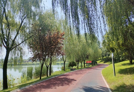 �������(�й���)�ٷ���ַ���