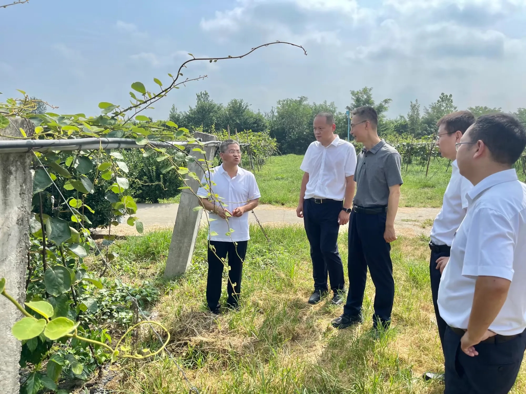 �������(�й���)�ٷ���ַ���