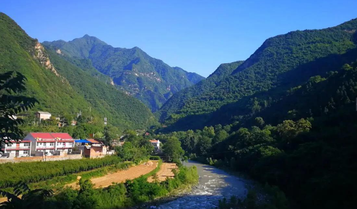 �������(�й���)�ٷ���ַ���