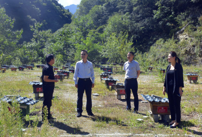 �������(�й���)�ٷ���ַ���